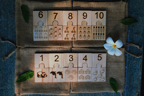 QTOYS - Number Jigsaw